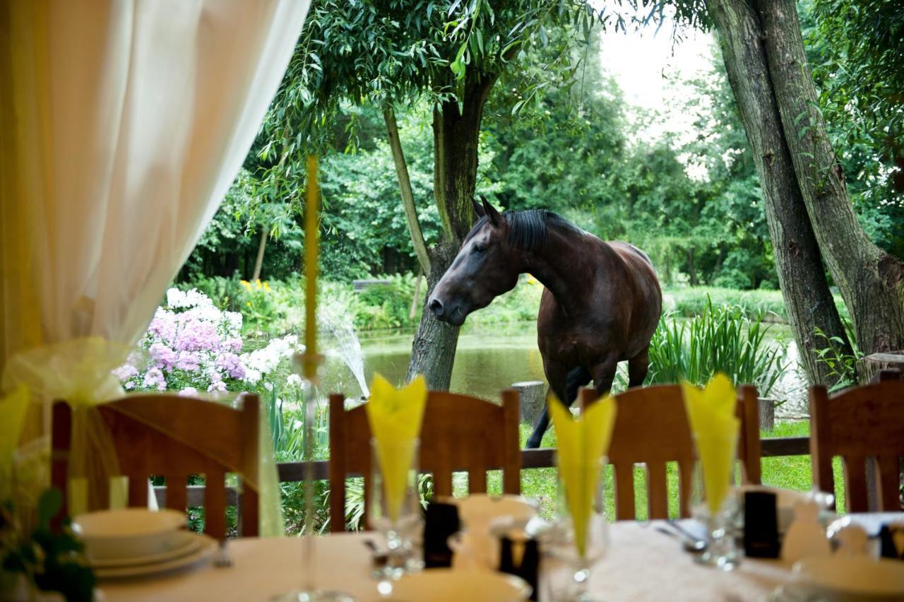 Rancho Slezanski Mlyn Szczepanów Екстериор снимка